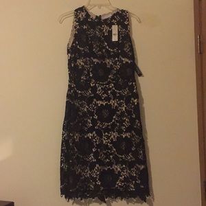 Black lace dress [NY&C]
